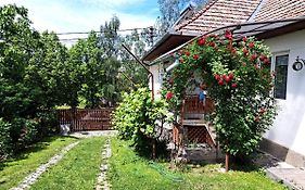 Casa de vacanta Zsenik Vendeghaz